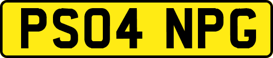 PS04NPG