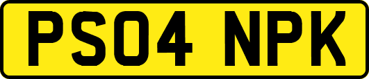 PS04NPK