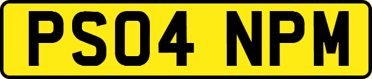 PS04NPM