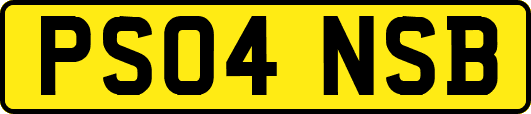 PS04NSB