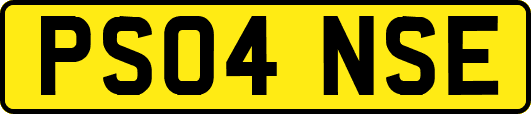 PS04NSE