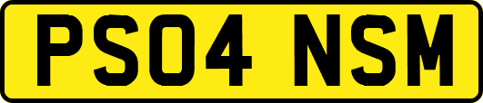 PS04NSM