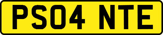 PS04NTE