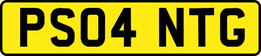 PS04NTG