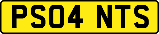 PS04NTS
