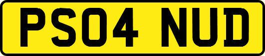PS04NUD
