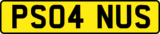 PS04NUS