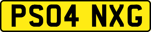 PS04NXG