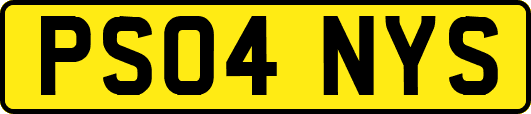 PS04NYS