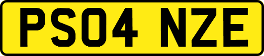 PS04NZE