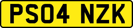 PS04NZK