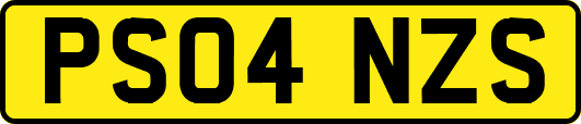 PS04NZS