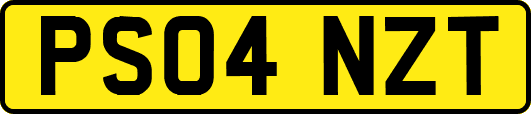 PS04NZT
