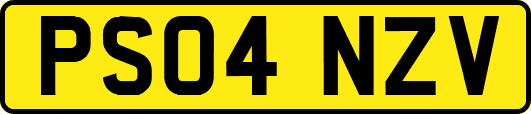 PS04NZV