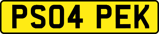 PS04PEK