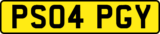 PS04PGY