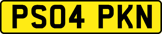 PS04PKN