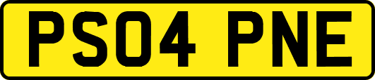 PS04PNE