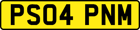 PS04PNM