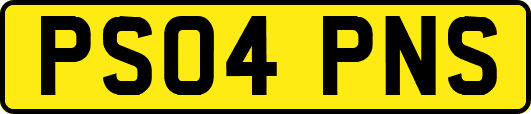 PS04PNS