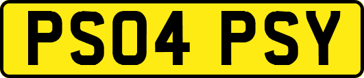PS04PSY