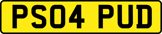 PS04PUD