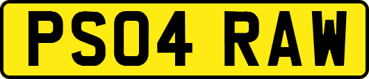 PS04RAW