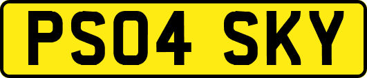 PS04SKY