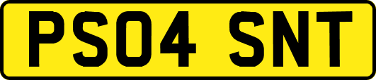 PS04SNT