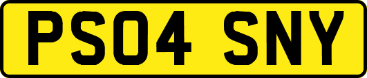 PS04SNY