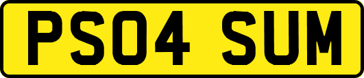 PS04SUM