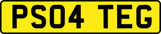 PS04TEG