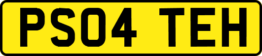PS04TEH