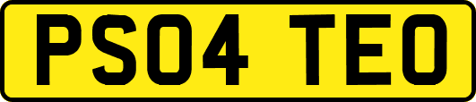 PS04TEO