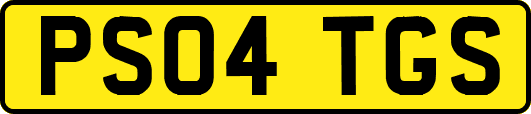 PS04TGS