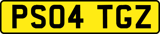 PS04TGZ