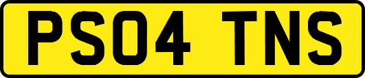 PS04TNS