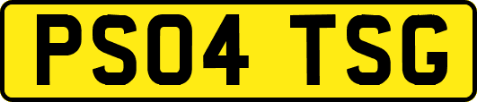 PS04TSG