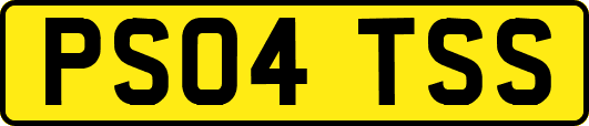 PS04TSS
