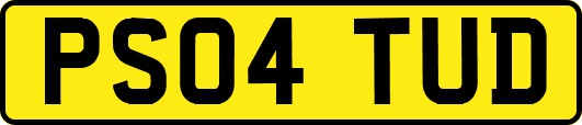 PS04TUD