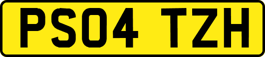 PS04TZH