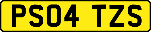 PS04TZS