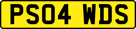PS04WDS
