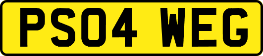 PS04WEG