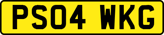 PS04WKG