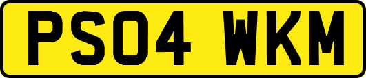 PS04WKM