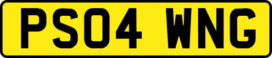 PS04WNG