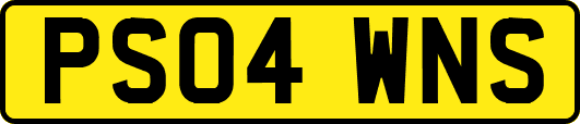 PS04WNS