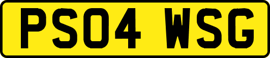 PS04WSG