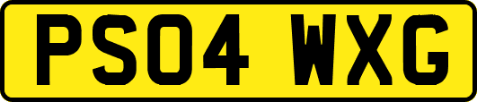 PS04WXG